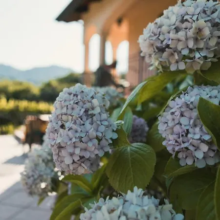 Gasthaus Il Frescale Country House Tramonti Exterior foto